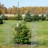 Tall Chicken Wire Critter Fence Extension Panel, Set Of 2 -garden Sales Store 8613260 0036