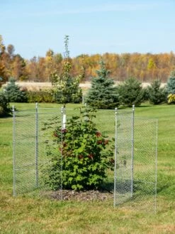 Tall Chicken Wire Critter Fence Extension Panel, Set Of 2