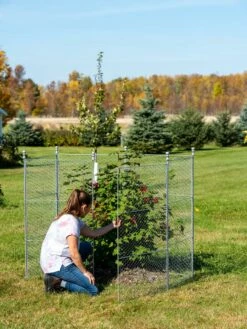 Tall Chicken Wire Critter Fence Extension Panel, Set Of 2 21 Tall Chicken Wire Critter Fence Extension Panel, Set Of 2 -garden Sales Store 8613260 0044 1