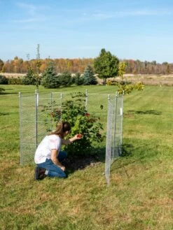 Tall Chicken Wire Critter Fence Extension Panel, Set Of 2 20 Tall Chicken Wire Critter Fence Extension Panel, Set Of 2 -garden Sales Store 8613260 0090