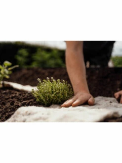 Hortiwool ®, Starter Garden Pad 9 Hortiwool ®, Starter Garden Pad -garden Sales Store 8613263 09v