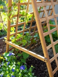 Bambo A Frame Plant Support, 30" X 42.5" -garden Sales Store 8613310 6556