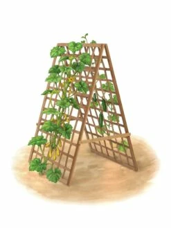 Bambo A Frame Plant Support, 30" X 42.5" -garden Sales Store 8613310 art flat