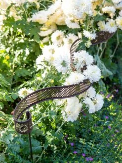 Scroll Linking Stakes, Set Of 3