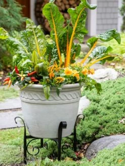 Covington Adjustable Plant Stands -garden Sales Store 8613347 0113
