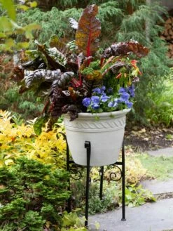 Covington Adjustable Plant Stands -garden Sales Store 8613348 0114