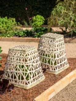 Bamboo Cloche, Set Of 2 14 Bamboo Cloche, Set Of 2 -garden Sales Store 8613351 0150 bamboo cloche set of 2