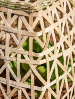 Bamboo Cloche, Set Of 2 19 Bamboo Cloche, Set Of 2 -garden Sales Store 8613351 0153