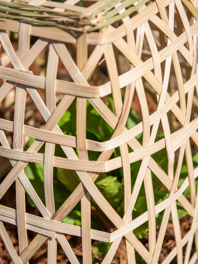 Bamboo Cloche, Set Of 2 10 Bamboo Cloche, Set Of 2 - Image 8