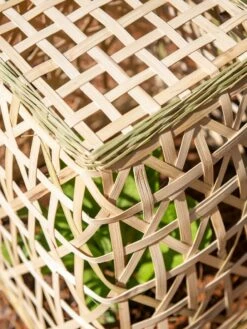 Bamboo Cloche, Set Of 2 18 Bamboo Cloche, Set Of 2 -garden Sales Store 8613351 0154