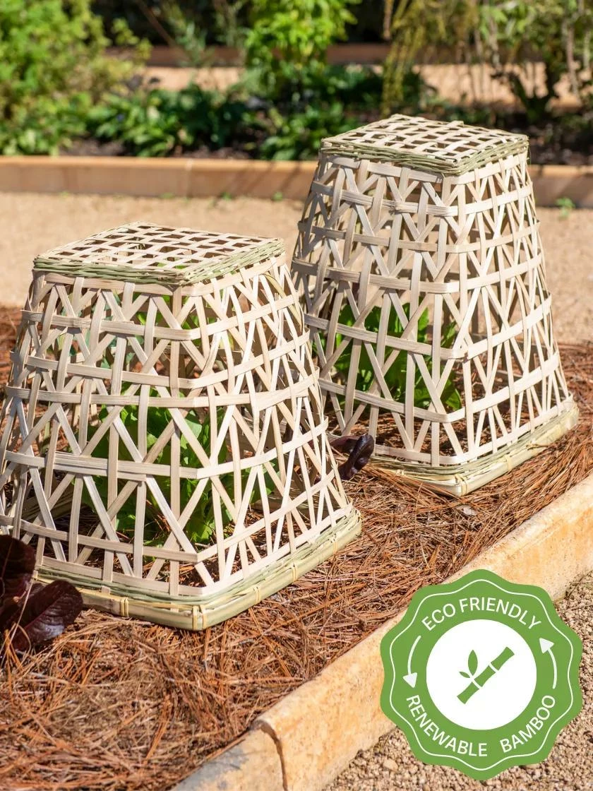 Bamboo Cloche, Set Of 2 3 Bamboo Cloche, Set Of 2