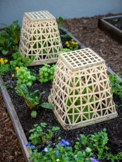 Bamboo Cloche, Set Of 2 17 Bamboo Cloche, Set Of 2 -garden Sales Store 8613351 6766