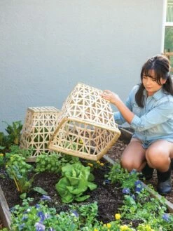 Bamboo Cloche, Set Of 2 15 Bamboo Cloche, Set Of 2 -garden Sales Store 8613351 6862