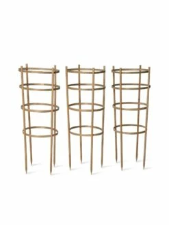 Bamboo Tomato Cages, Set Of 3 -garden Sales Store 8613426 4679 bamboo tomato cages 3