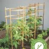 Bamboo Tomato Cages, Set Of 3 -garden Sales Store 8613426 7
