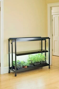 Floor Sunlite® Garden