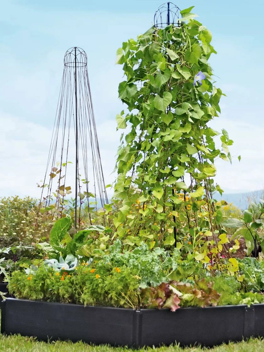 Garden Maypole Plant Support 3 Garden Maypole Plant Support