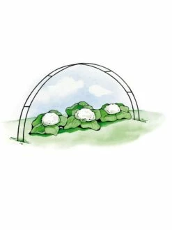 Super Hoops, Set Of 6 -garden Sales Store GS39423 02S 3 4