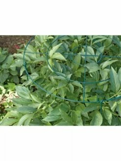 Grow Through Supports, Set Of 3 -garden Sales Store GS40172 01 1