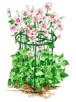 Grow Through Supports, Set Of 3 -garden Sales Store GS40172 02S tif