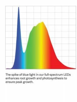 Bamboo Display LED Grow Light Garden -garden Sales Store LED ColorSpectrum grid PDP 2