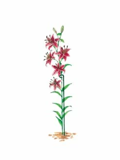 Single Stem Supports, Set Of 3 -garden Sales Store gs14318 03s