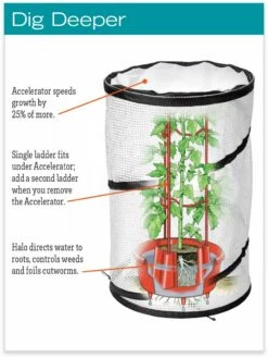 Tomato TLC Kits, Set Of 3 -garden Sales Store hiw 8594214 jpg