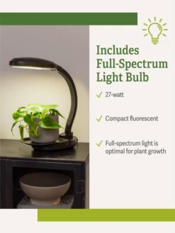 Agrobrite Desktop Plant Light -garden Sales Store webimage Agrobrite Desktop